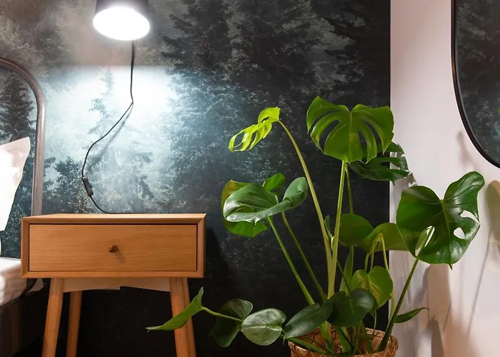 Apartment Feel Like In Old Center Warm Nest Bucharest